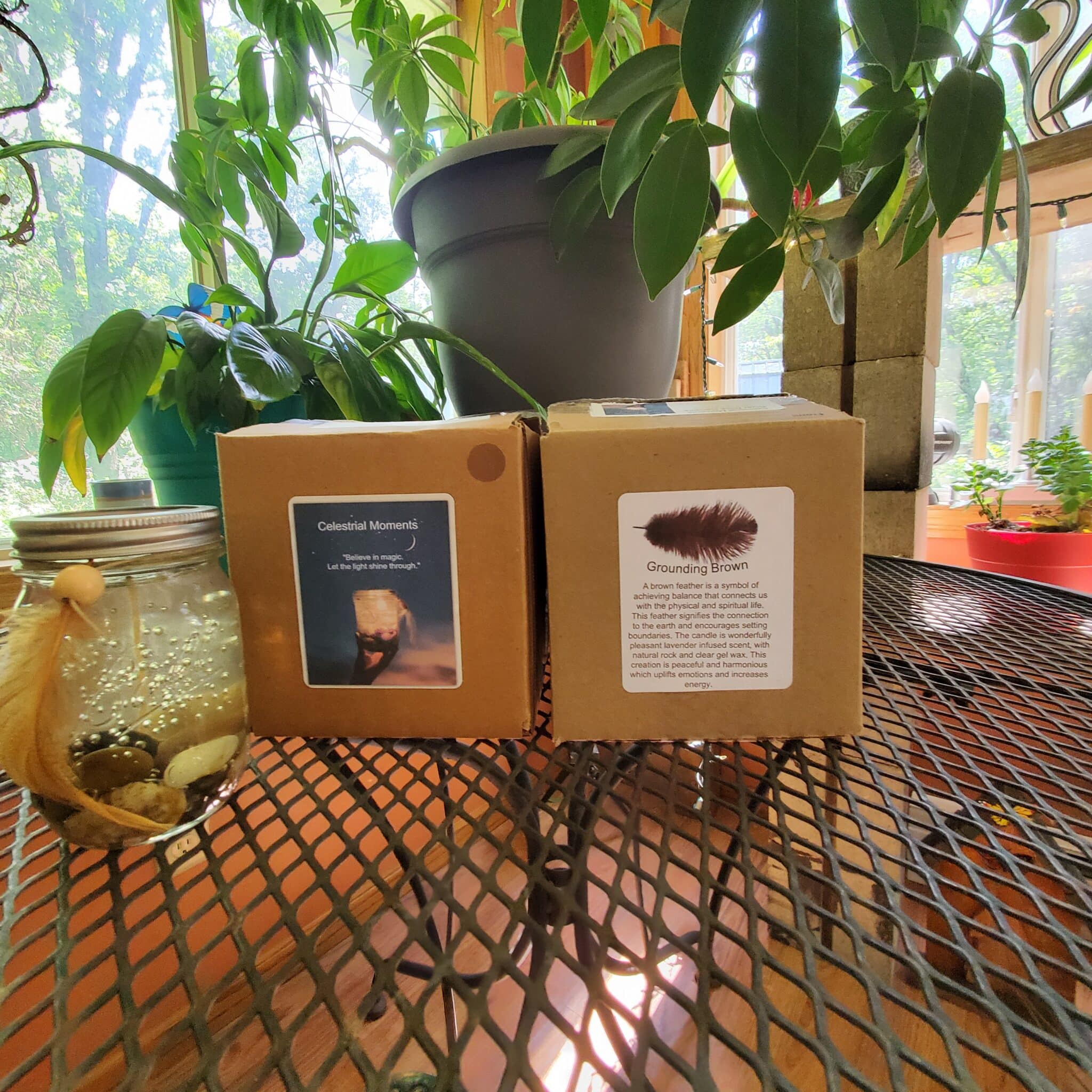 Two boxed candles near indoor houseplants